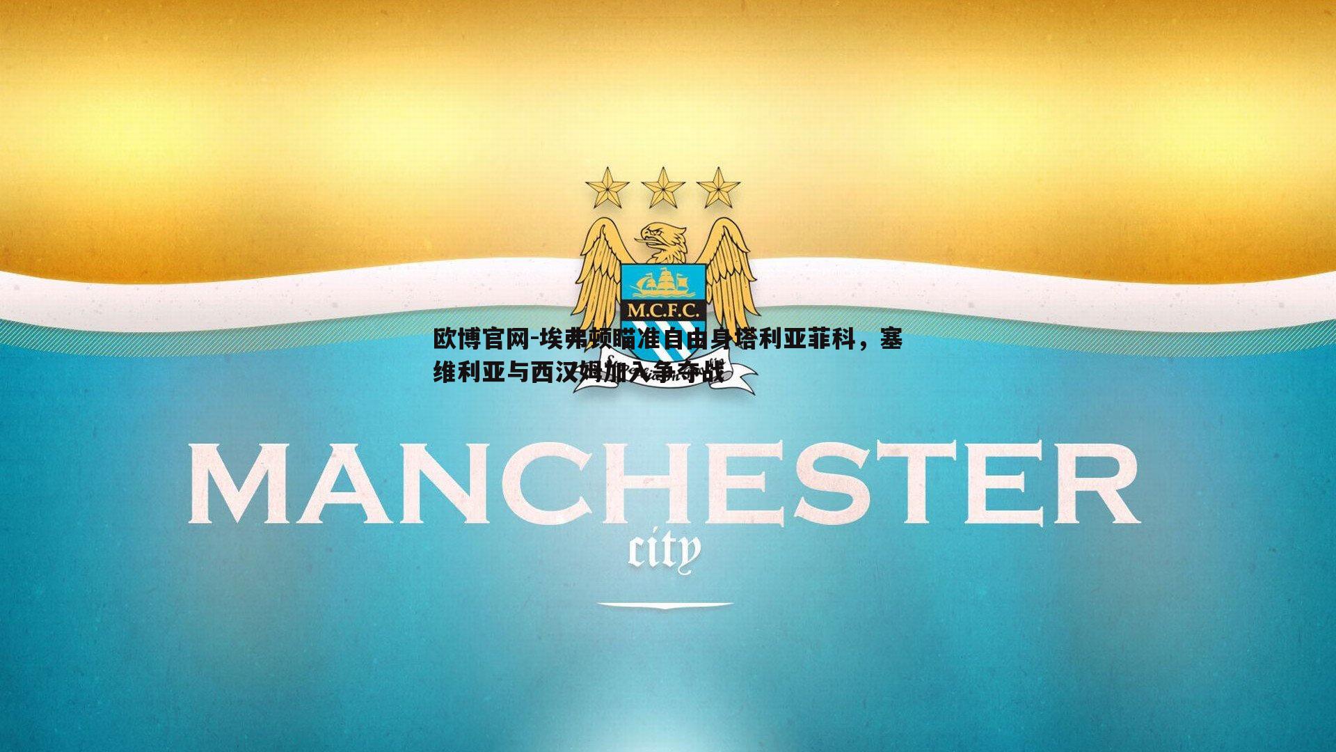 埃弗顿瞄准自由身塔利亚菲科，塞维利亚与西汉姆加入争夺战